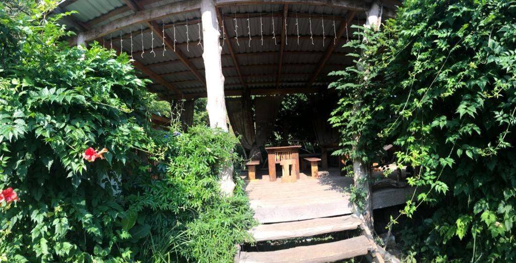 Фото Гостевого дома Место под солнцем Lidzava 8